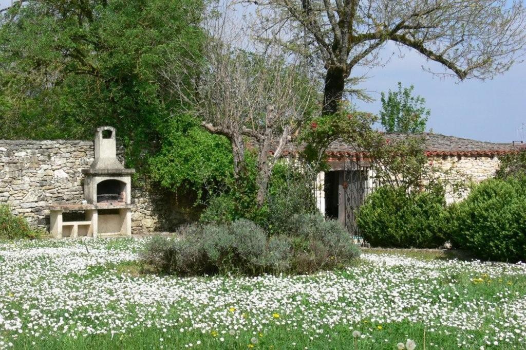 Sérignac La Maisou-Pastel Et Fleur المظهر الخارجي الصورة
